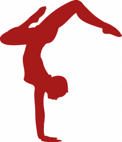 Family Acrobatic Show, Saturday, 2/10 - Southold Library
