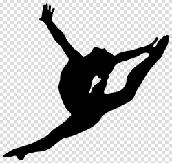 Artistic gymnastics Silhouette Split , gymnastics ...