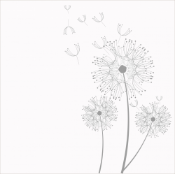 Dandelion Flowers Clipart Free Stock Photo - Public Domain Pictures