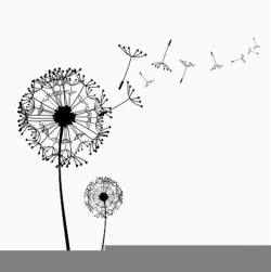 Free Clipart Dandelion Flower | Free Images at Clker.com - vector ...