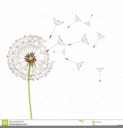 Free Blowing Dandelion Clipart | Free Images at Clker.com ...