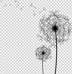 IPhone SE Love Amazon.com couple Telephone, Dandelion ...