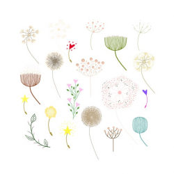 Cute Dandelion Clipart, Romantic Dandelion Digital Images, Dandelion  Collage Sheet, Dandelion Clipart