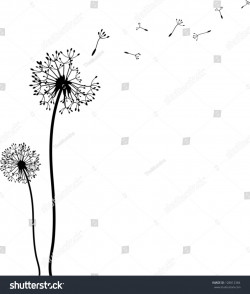 Dandelion Black And White Drawing | Free download best ...