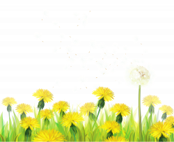 28+ Collection of Dandelion Clipart Transparent Background | High ...