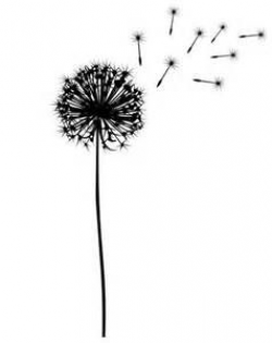 black and white vector dandelion images free - Saferbrowser ...