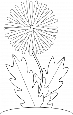 Clipart - dandelion flower bw