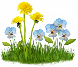 TUBES NATURE | หญ้า ดอกไม้ | Pinterest