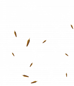 Dandelions Transparent PNG Clip Art Image | Gallery Yopriceville ...