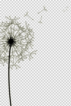 Dandelion Drawing Euclidean PNG, Clipart, Angle, Area, Black ...