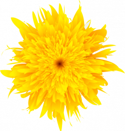 Dandelion PNG Picture | Web Icons PNG