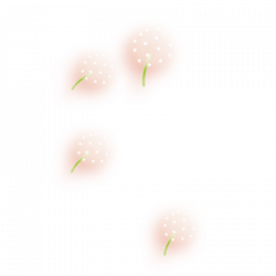 Common Dandelion Clip art - Floating Candy 800*800 transprent Png ...