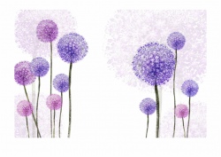 Dandelion Transparent Purple - Dandelion Flowers Purple ...