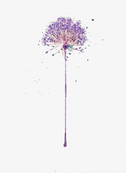 Hand-painted Purple Dandelion PNG, Clipart, Abstract ...