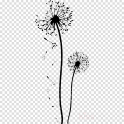Dandelion Background clipart - Dandelion, Plant, Flower ...