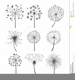 Dandelions Clipart | Free Images at Clker.com - vector clip ...
