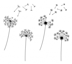 Simple dandelion clocks | Cards n Hand lettering | Doodle ...