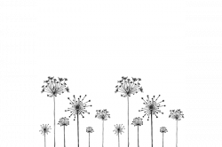 dandelion-border_large-repeat.png (700×465) | Planner | Pinterest ...