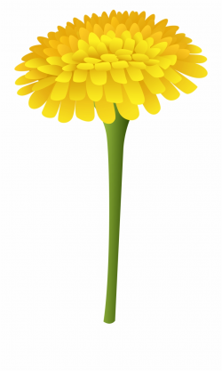 Dandelion Clipart Wildflower - Marigold Flower Clipart Png ...