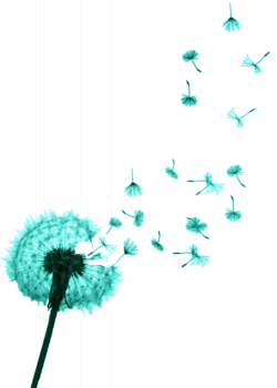dandelion in the wind....... | a soothing effect | Pinterest ...