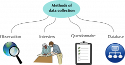 Collecting Data | Data Handling | Siyavula