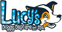 Boarding facility for dogs - Lucy's Doggy Daycare and Spa in San Antonio