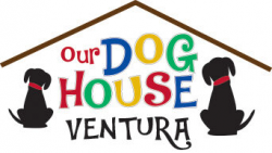 Ventura Dog Boarding & Daycare | Ventura Kennel | Our Dog House