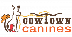 Cowtown Canines FAQ - Cowtown Canines - Fort Worth - Benbrook - Dog ...