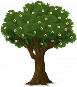 Detailed Tree Icons PNG - Free PNG and Icons Downloads