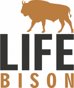 On the bison beat | Rewilding Europe
