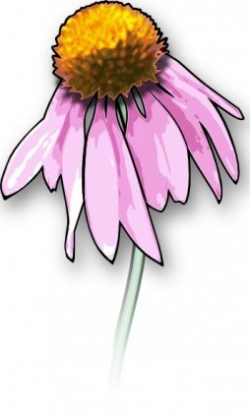 Free Dead Flowers Clipart and Vector Graphics - Clipart.me