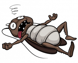 Cockroach Insect Cartoon Clip art - Fainted cockroach 1024*832 ...