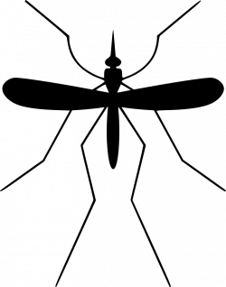 Mosquito Midge Komar Gnat Svg Png Icon Free Download (#488726 ...