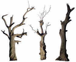 Dead Tree Pack 001 - HB593200 by hb593200 on DeviantArt