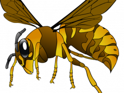 Collection of 14 free Hornet clipart shopping clipart. Download on ...