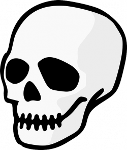 Skull Clip art - Dead Cartoon png download - 544*640 - Free ...