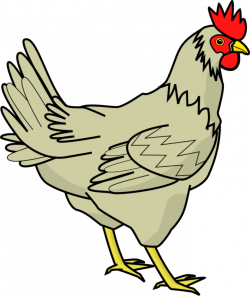 Free Chicken Clipart Black And White Images Download 【2018】