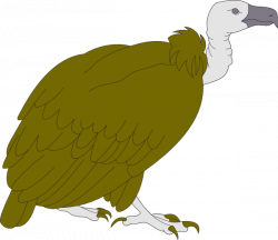 Vulture Clip Art at Clker.com - vector clip art online, royalty free ...