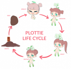PLOTTIES: LIFE CYCLE AND AGING by MMXII on DeviantArt