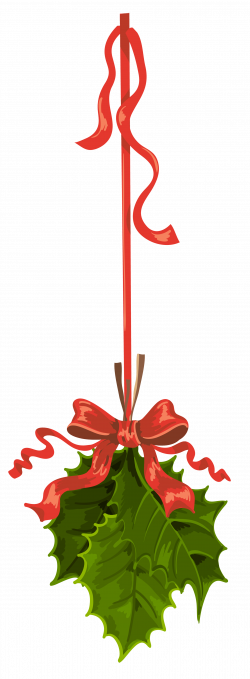 Image - Transparent Christmas Hanging Mistletoe PNG Clipart.png ...