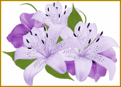 Appealing Purple Decorative Flowers Png Clipart Ogrod Picture Of ...