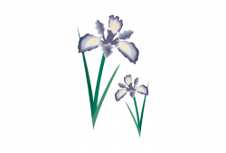 Free photo Design Flower Floral Clipart Decoration Wedding - Max Pixel