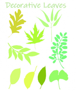 Decorative ClipArt Leaves SVG Set of 9