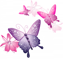 Res] Decorative Butterflies PNG by HanaBell1 on DeviantArt | flowers ...