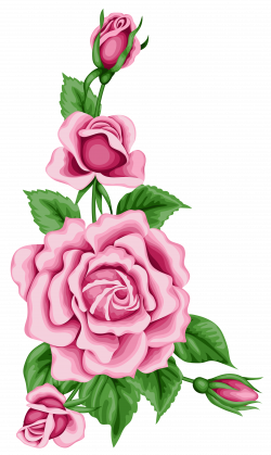 Roses Decoration PNG Clipart Image | Gallery Yopriceville - High ...