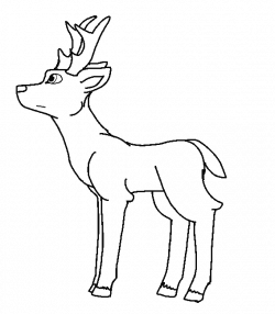 Deer Line Drawing at GetDrawings.com | Free for personal use Deer ...