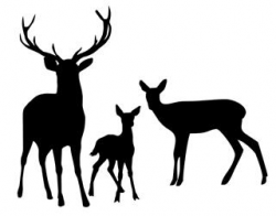 Deer Family Silhouette | Free download best Deer Family ...