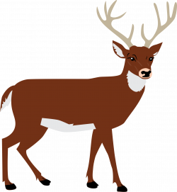 Deer - BClipart