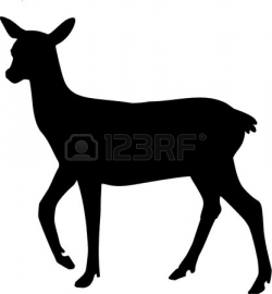 Collection of Doe clipart | Free download best Doe clipart ...