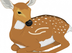 Silhouette Deer Free Download Clip Art - carwad.net